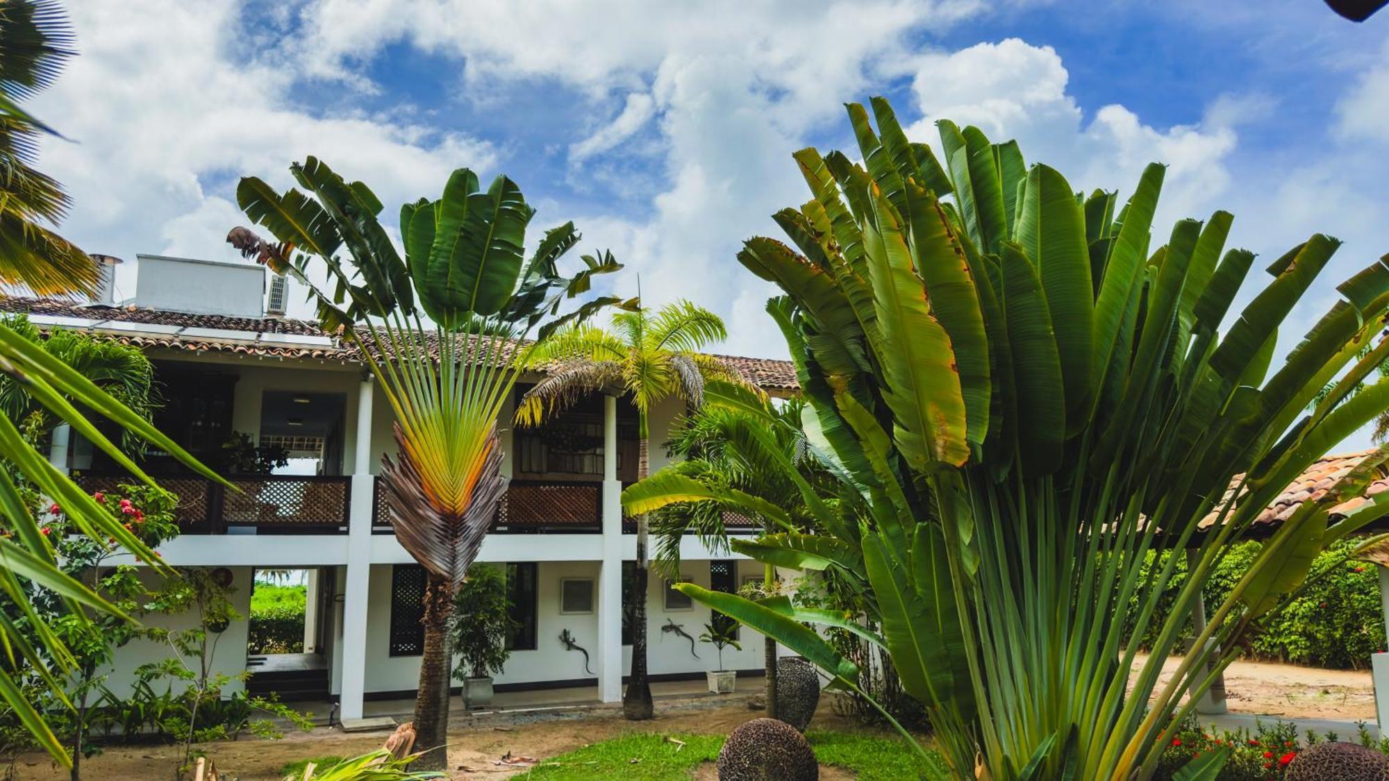 Casa Acayu Otel São Miguel dos Milagres Dış mekan fotoğraf
